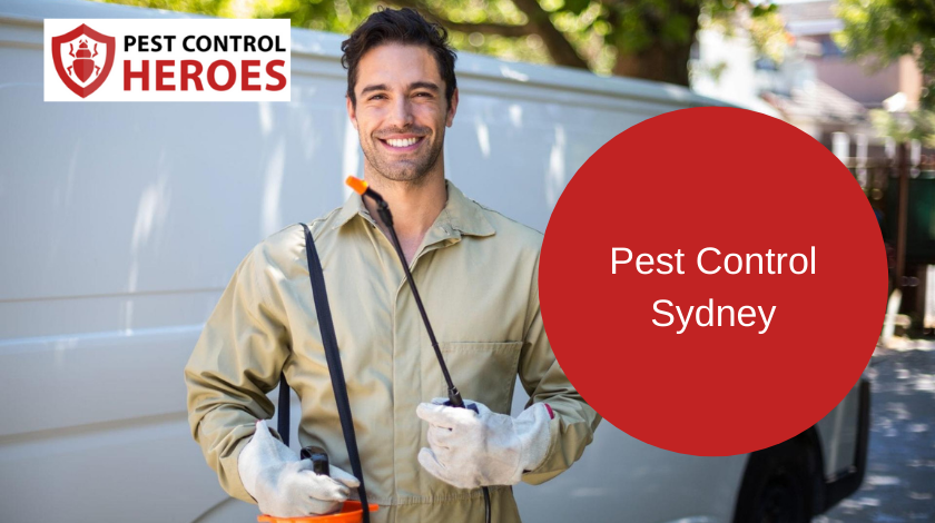 pest control sydney banner image