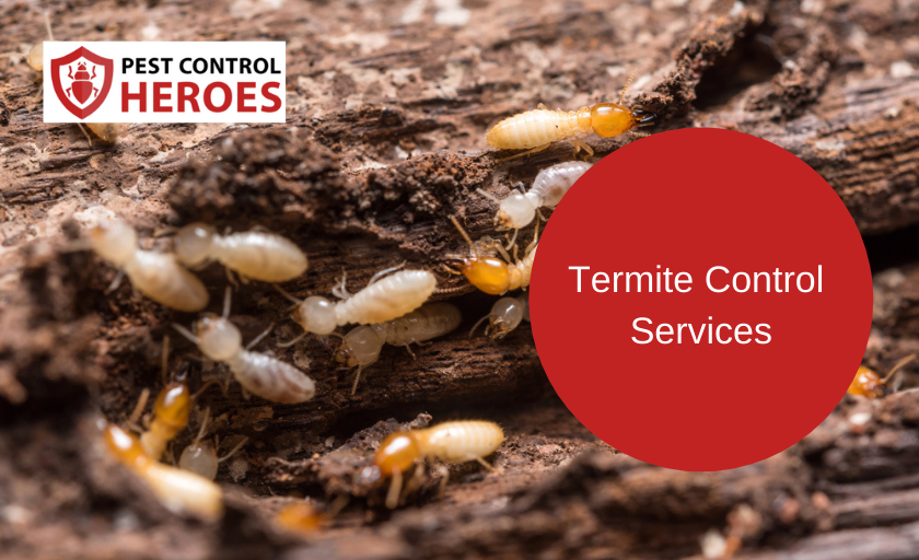 termite control banner image
