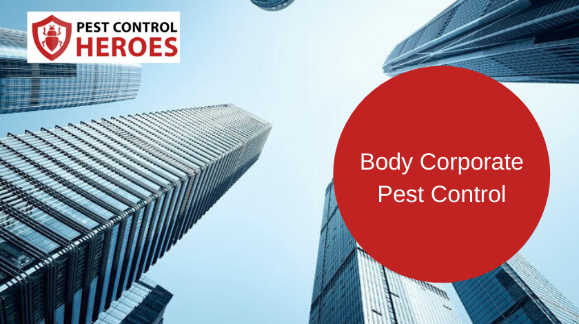 body corporate pest control