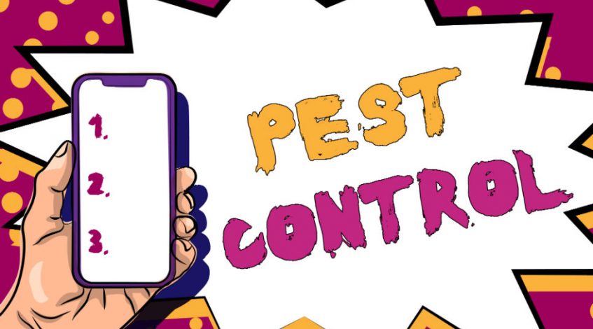 pest control marketing ideas banner