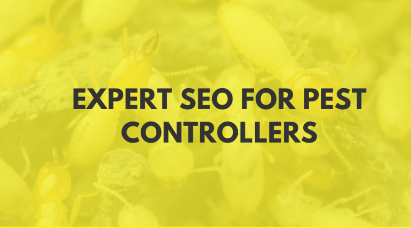 seo for pest controllers